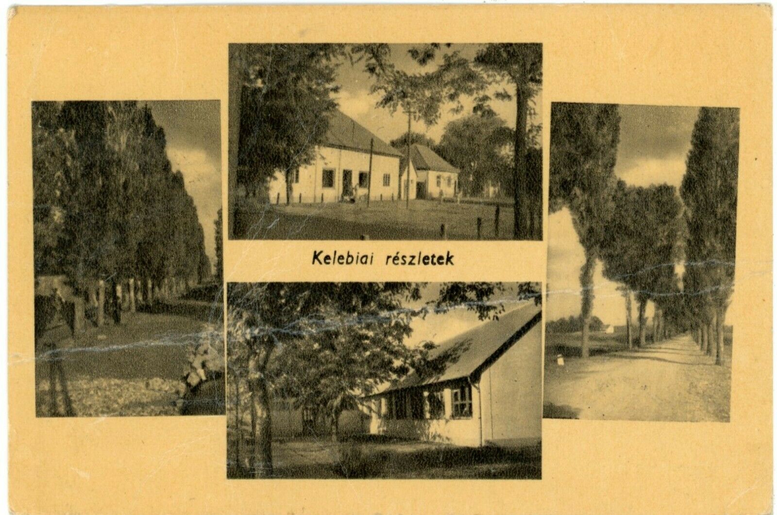 Pine Trees Roads And Bungalow Houses, Details Of Budapest, Hungary Postcard
