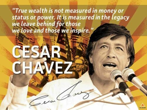 Cesar Chavez Poster Quote Labor Activist Education Art Print (24x18)
